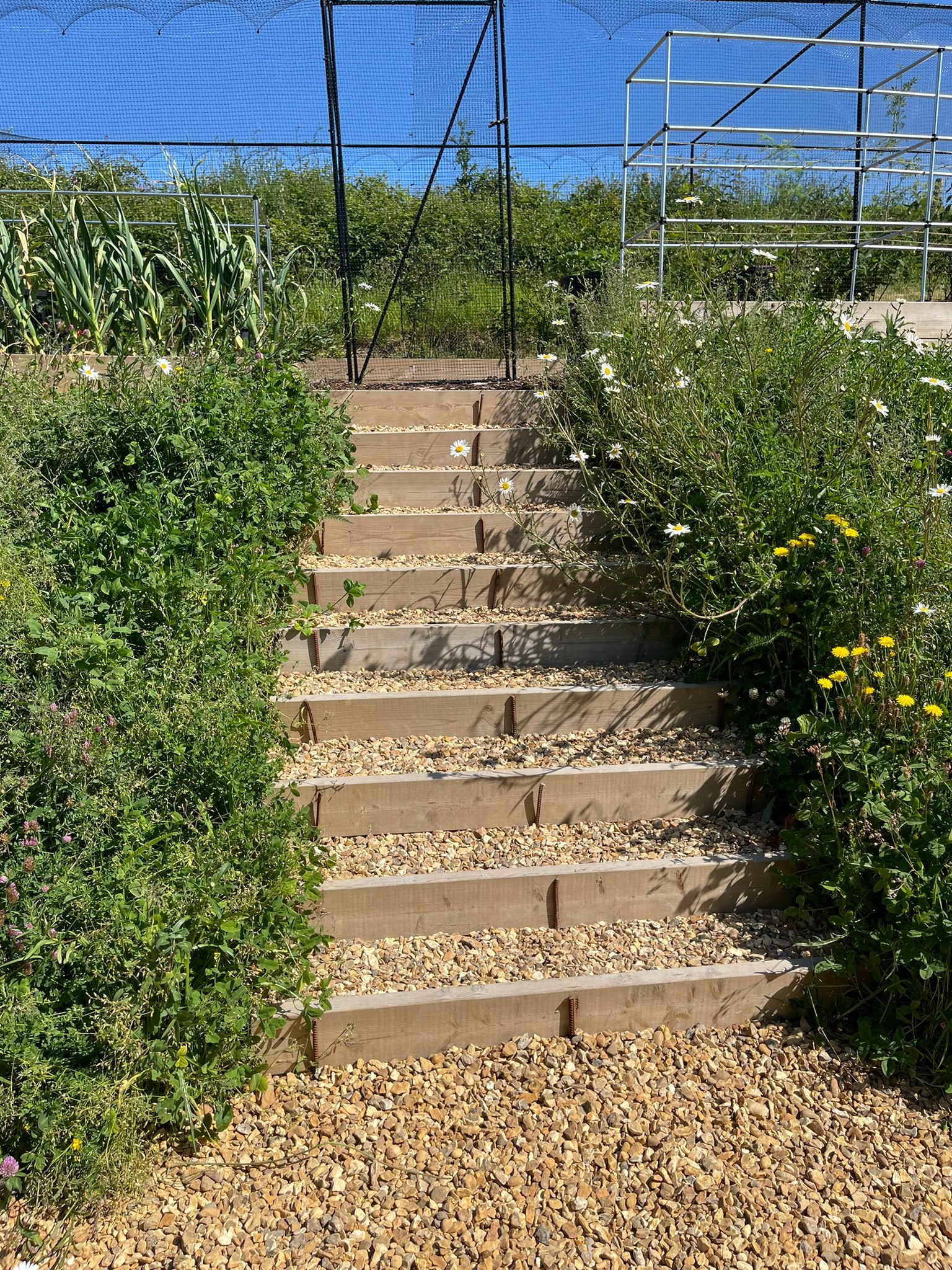 golden-flint-steps Golden flint project